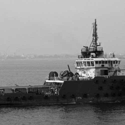 105 tbp FiFi-1 AHT (2 sisters)