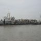draga rio