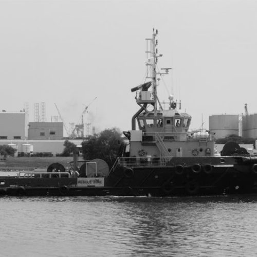 62 tbp ASD AHT FiFi-1 (2 sisters)