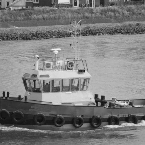 Damen Stantug 1906 (2 sisters)