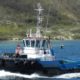 Damen 2810